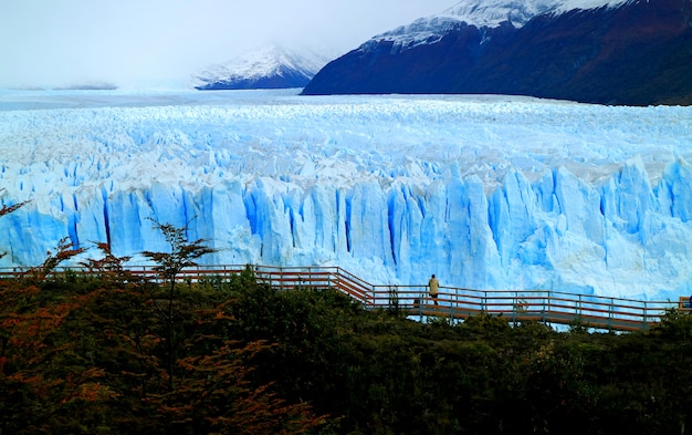 Photo perito moreno glacier with the viewing balcony and fall foliage, los glaciares national park, patagonia, argentina