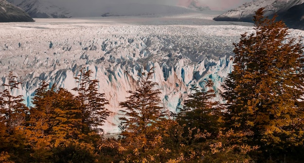 Perito Moreno Gletsjer Los Glaciares Nationaal Park Provincie Santa Cruz Patagonië Argentinië