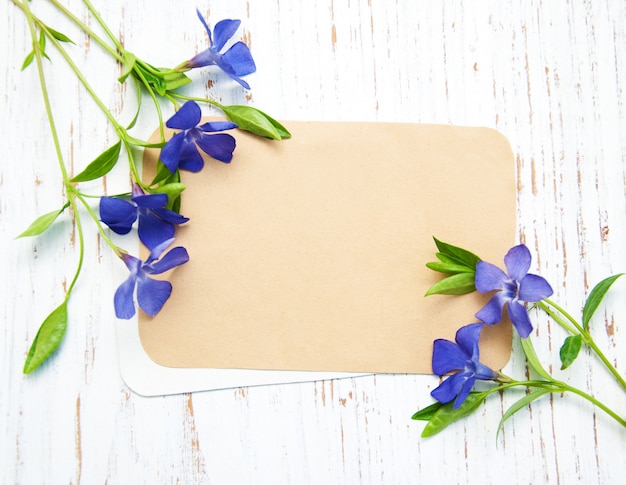 Periwinkle flowers with card