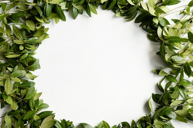 Photo periwinkle leaves wreath on white background. green leafy foliage circle. minimalist floral decor. empty space concept