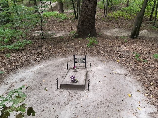 In the perk is the grave of a pet, dog or cat. behind her in
the background are several more graves