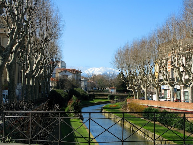 Perpignan street. Canal, clipped plane trees without foliage, green grass, snowy mountains