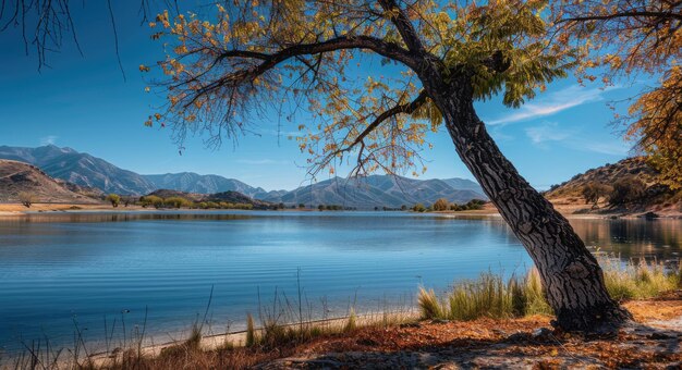 Photo perris lake serene landscape of lake perris state park california with blue waters forest and