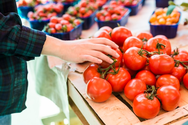 Person buying fruits and vegetables