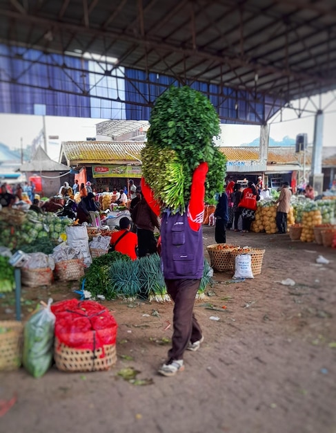 A person carrying a bag of vegetables on their head