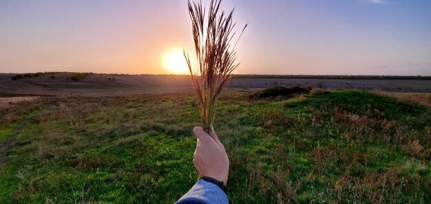 Photo person on field against sky during sunset