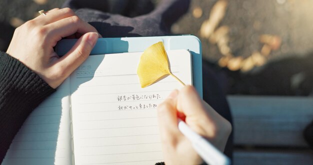 Photo person hands and writing in book on park bench for reminder agenda or memory in nature above top view and closeup of writer or journalist taking notes in diary or notebook with pen for planning