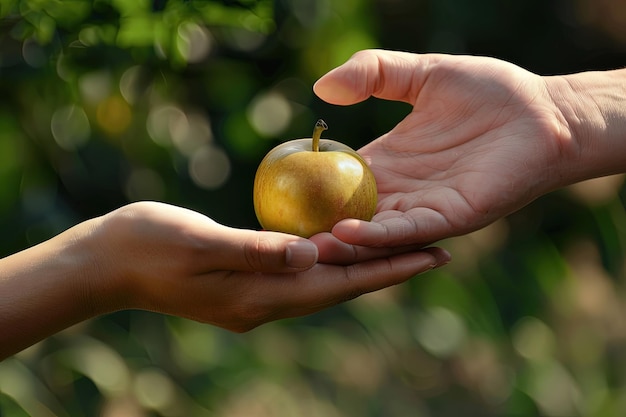 A person holding an apple in their hands