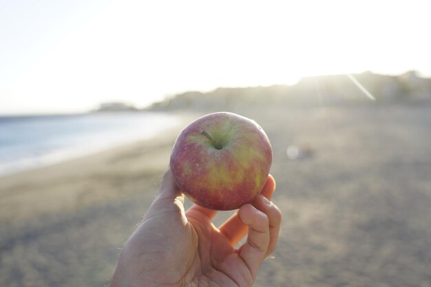 Photo person holding apple