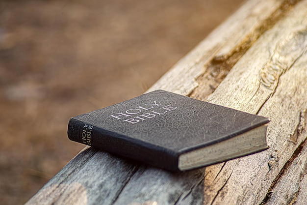 Person holding a Bible in the air