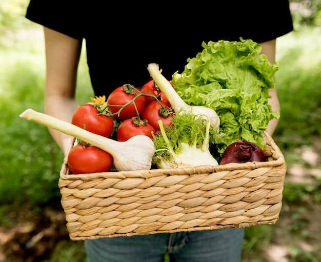 Photo person holding bucket with veggies front view