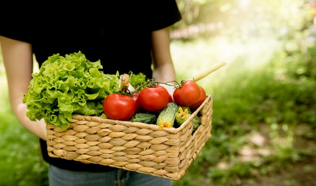 Photo person holding bucket with veggies high view