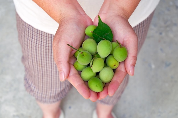 A person holding a bunch of plums