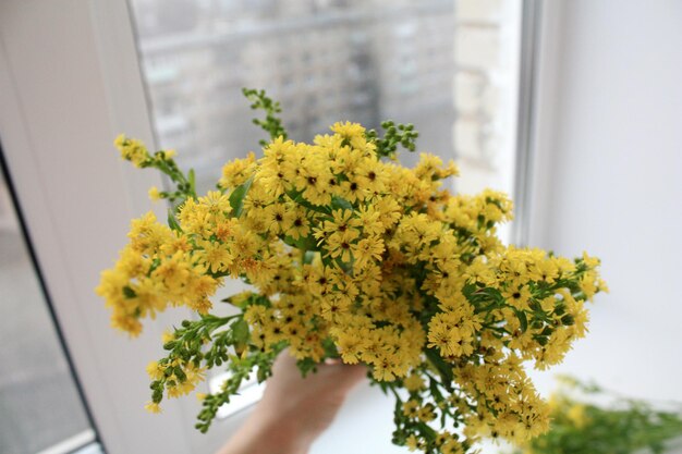 A person holding a bunch of yellow flowers in their hands.