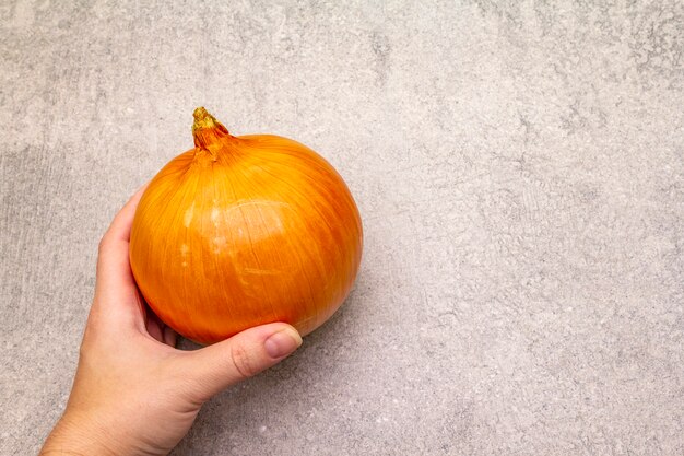 Person holding fresh giant onion bulb