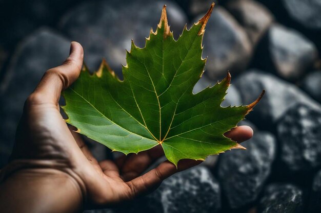 a person holding a leaf that has the word quot fall quot on it