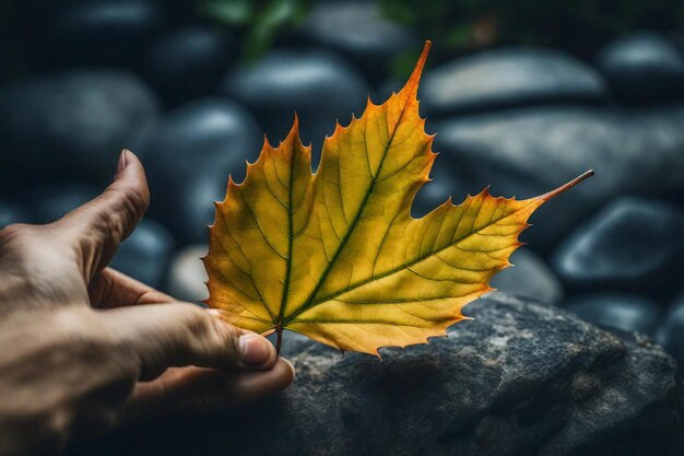 a person holding a leaf that has the word  on it