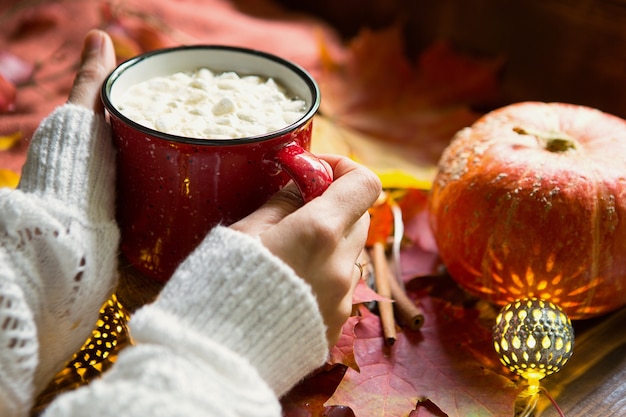 Person holding mug with hot chocolate with marshmallows