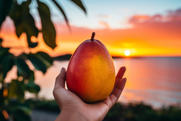 A person holding a ripe mango against a vibrant tropical sunset