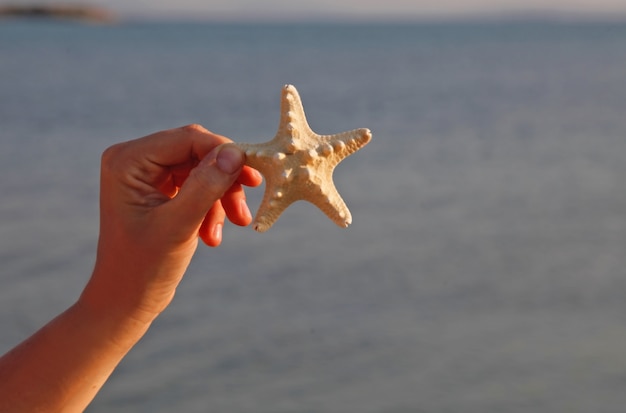 화창한 날에 모래 배경으로 해변에서 바다 스타 (불가사리)를 손에 들고 사람. 여름 휴가 배경 개념.