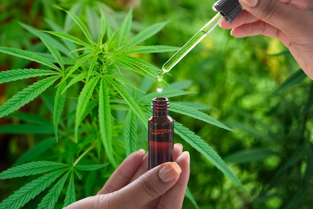 A person holding a small bottle of hemp oil.