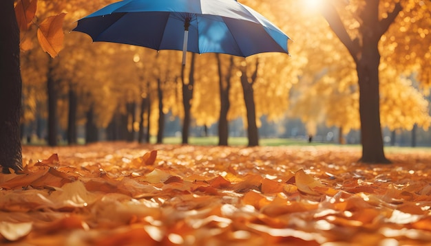 Photo a person holding an umbrella in the autumn forest