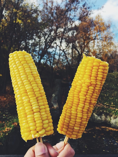 写真 黄色い食べ物を持っている人