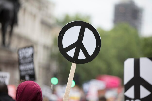 Photo a person holds a peace sign banner at a protest