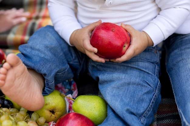 A person is holding an apple in their hands.