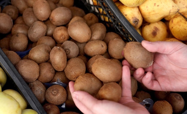 A person is picking up kiwi fruit in a basket.