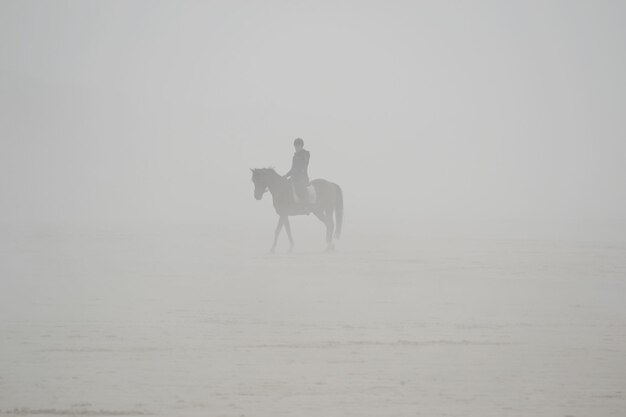 写真 霧の中の馬に乗った人