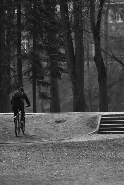 Person riding bicycle in forest