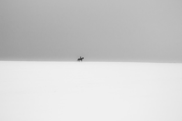 Photo person riding horse in desert against clear sky