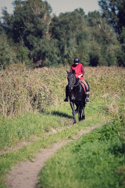 Photo person riding horse on field