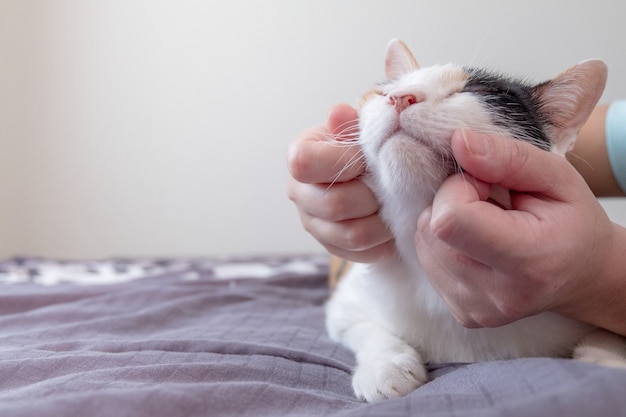 The person's hand is scratching the chin for the cat.