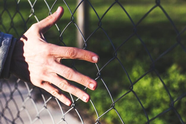 Photo a person's hand is touching a chain link fence.