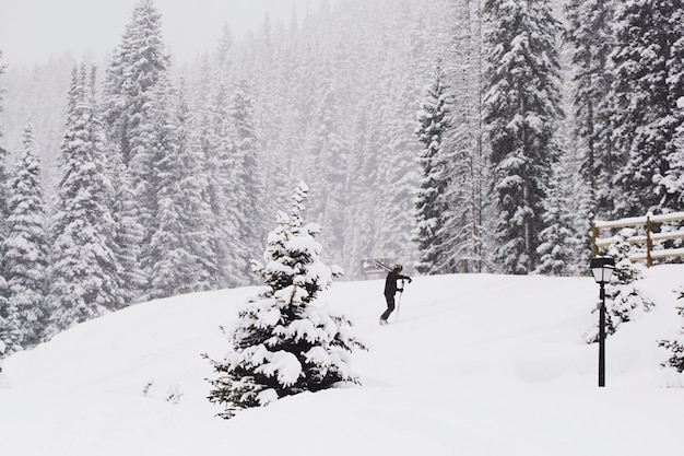 Фото Человек катается на лыжах на заснеженном поле