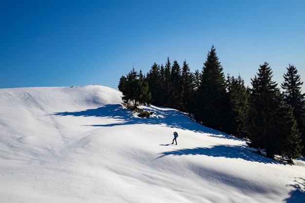 写真 冬の間雪で覆われた山で空に向かってスキーをしている人