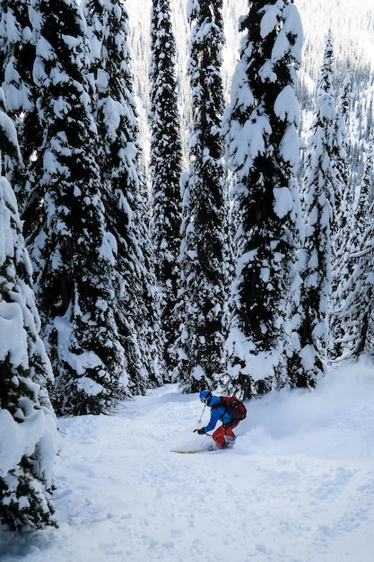 雪で覆われた木の上でスキーをしている人