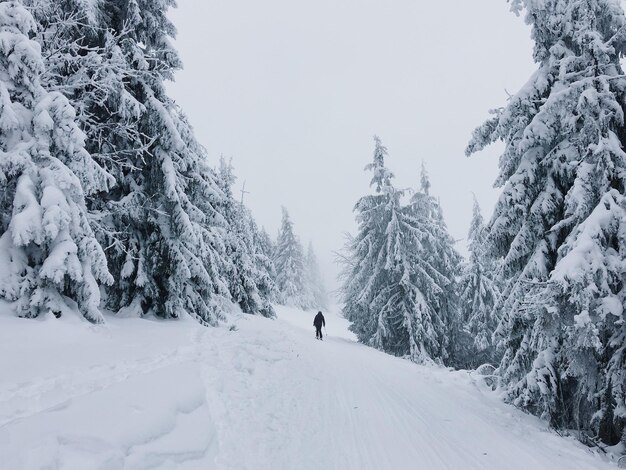 Person skiing on snowy landscape against sky