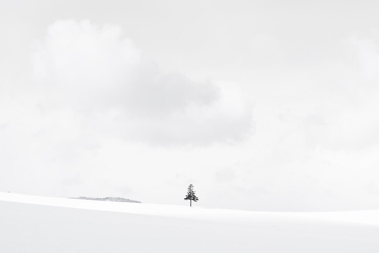 Photo 空に向かって雪で覆われた畑にいる人
