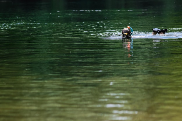 Person swimming in lake