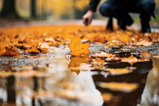 Photo person tending to fallen leaves in autumn