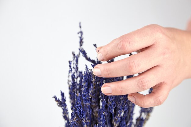 Person touching lavender bouquet