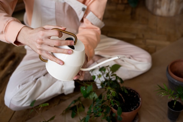 写真 新しい鉢に植物を移植する人