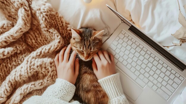 Person typing on a laptop with a cute cat on the bed under warm knitted blanket light