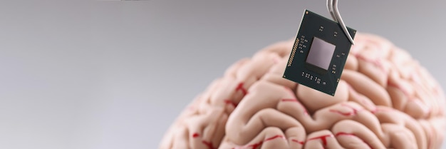 Person use tweezers to put tiny computer chip in plastic human\
brain model