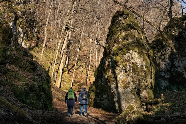 person walking in the forest