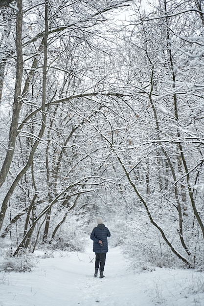 Foto persona che cammina nella foresta innevata bianca.