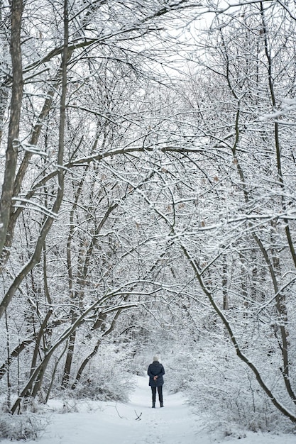 白い雪に覆われた森の中を歩く人。